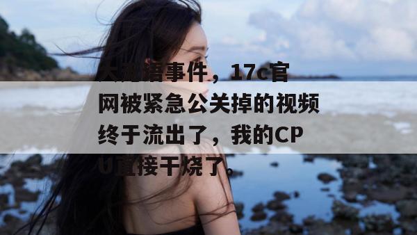 大无语事件，17c官网被紧急公关掉的视频终于流出了，我的CPU直接干烧了。